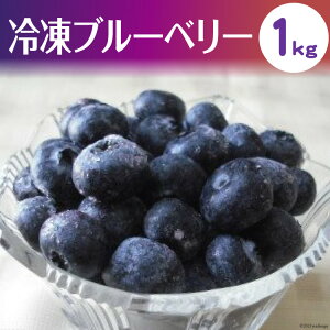 【ふるさと納税】ノーザン・ベリーズ　冷凍ブルーベリー1kg　果物　フルーツ　北海道砂川市