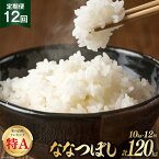 【ふるさと納税】12回 定期便 JA新すながわ産 ななつぼし 10kg×12回 総計kg [ホクレン商事 北海道 砂川市 12260385]