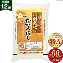 【ふるさと納税】12回 定期便 JA新すながわ産 特栽米ななつぼし 5kg×12回 総計60kg ホクレン商事 北海道 砂川市 12260383