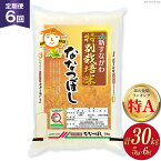 【ふるさと納税】6回 定期便 JA新すながわ産 特栽米ななつぼし 5kg×6回 総計30kg [ホクレン商事 北海道 砂川市 12260379]