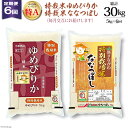 【ふるさと納税】6回 定期便 JA新すながわ産 特栽米ゆめぴりか＆特栽米ななつぼし 5kg×6回 総計30kg [ホクレン商事 北海道 砂川市 12260380]