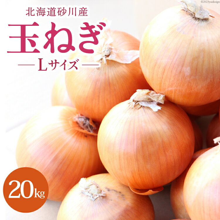 【ふるさと納税】 JA新すながわ　砂川市玉葱振興会　北海道砂川産　玉ねぎ（Lサイズ）　20kg　野菜　タマネギ　玉葱のサムネイル