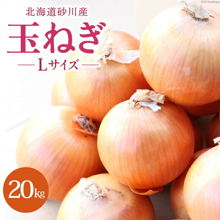 【ふるさと納税】JA新すながわ　砂川市玉葱振興会　北海道砂川産　玉ねぎ（Lサイズ）　20kg　野菜　タマネギ　玉葱
