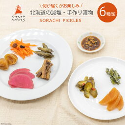 【ふるさと納税】無添加 減塩 手作り 漬物 6種 食べ比べ セット [たびのそら 北海道 砂川市 12260517] 冷蔵 漬け物 つけもの 個包装