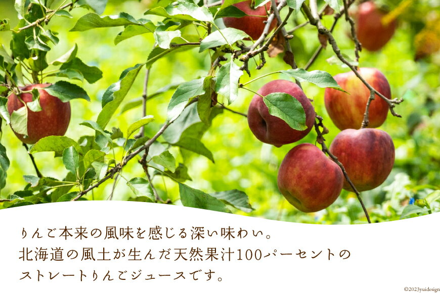 【ふるさと納税】林檎の森ジュース 1,000ml×6本 セット [三谷果樹園 北海道 砂川市 12260541] リンゴ りんご 100% ストレート ジュース