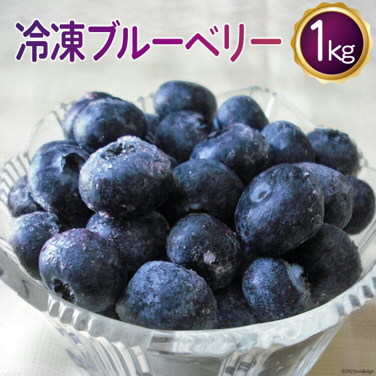 [先行受付] 冷凍 ブルーベリー 1kg [ノーザン・ベリーズ 北海道 砂川市 12260395] 果物 フルーツ 国産