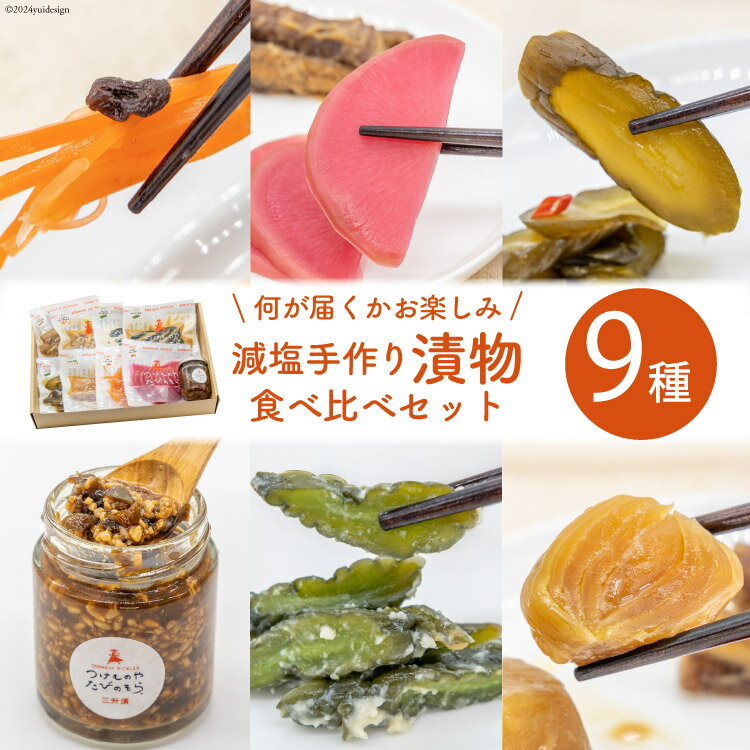 8位! 口コミ数「0件」評価「0」無添加 減塩 手作り 漬物 9種 食べ比べ セット [たびのそら 北海道 砂川市 12260518] 冷蔵 漬け物 つけもの 個包装