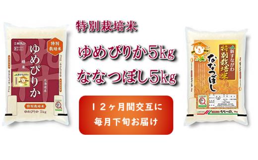 限定価格セール ふるさと納税 ja新すながわ産 特栽米ゆめぴりか 特栽米ななつぼし定期便 5kg 12ヶ月 北海道砂川市 再再販 Cpdec Inphb Ci 限定価格セール ふるさと納税 ja新すながわ産 特栽米ゆめぴりか 特栽米ななつぼし定期便 5kg 12ヶ月 北海道砂川市 再再販 Cpdec Inphb Ci