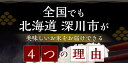 【ふるさと納税】《先行予約》【2024年10月上旬より発送開始】 【6回定期便】北海道 深川産 ふっくりんこ (普通精米) 20kg (5kg×4袋) ×6回 計120kg 特A お米 米 白米 精米 ご飯 ごはん 3