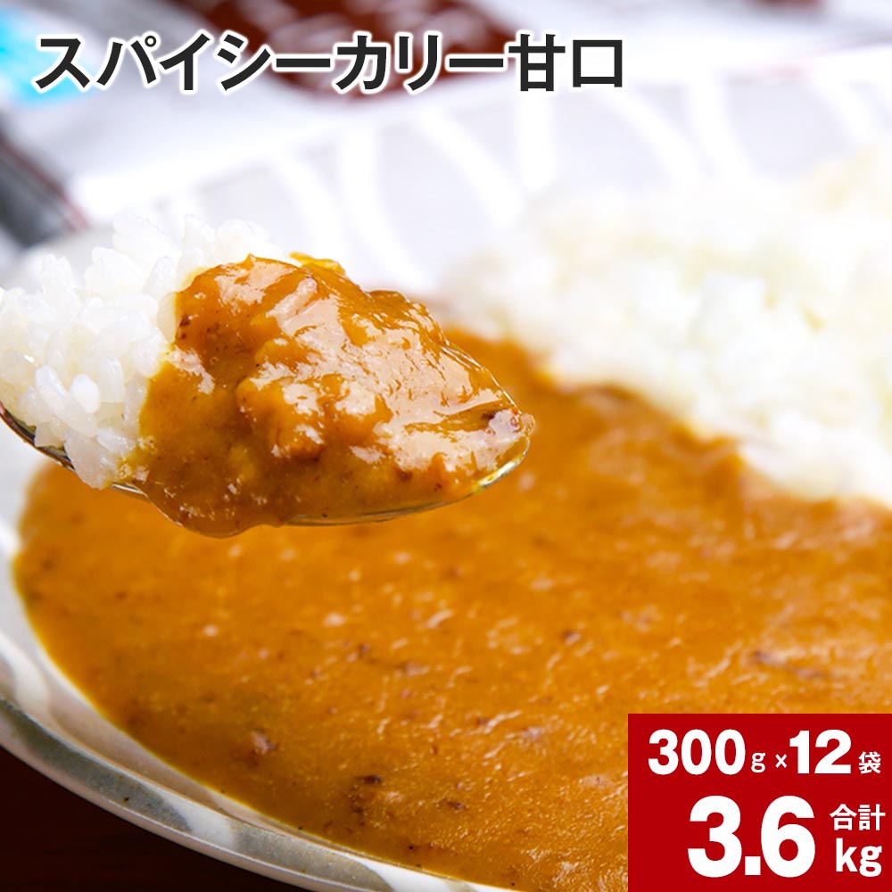 【ふるさと納税】 スパイシーカリー 甘口 レトルト 300g