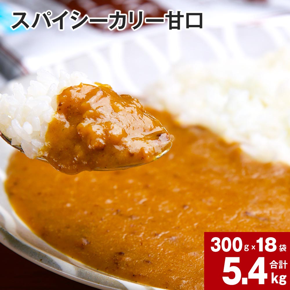 【ふるさと納税】 スパイシーカリー 甘口 レトルト 300g