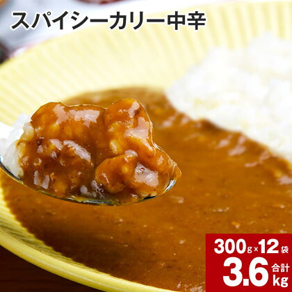 スパイシーカリー 中辛 レトルト 300g×12袋 レトルトカレー カレーソース カレー 玉ねぎ 旨み コク カレーライス アレンジ 職人 煮込み ピリ辛 簡単 お手軽 ボリュームたっぷり 北海道 深川市