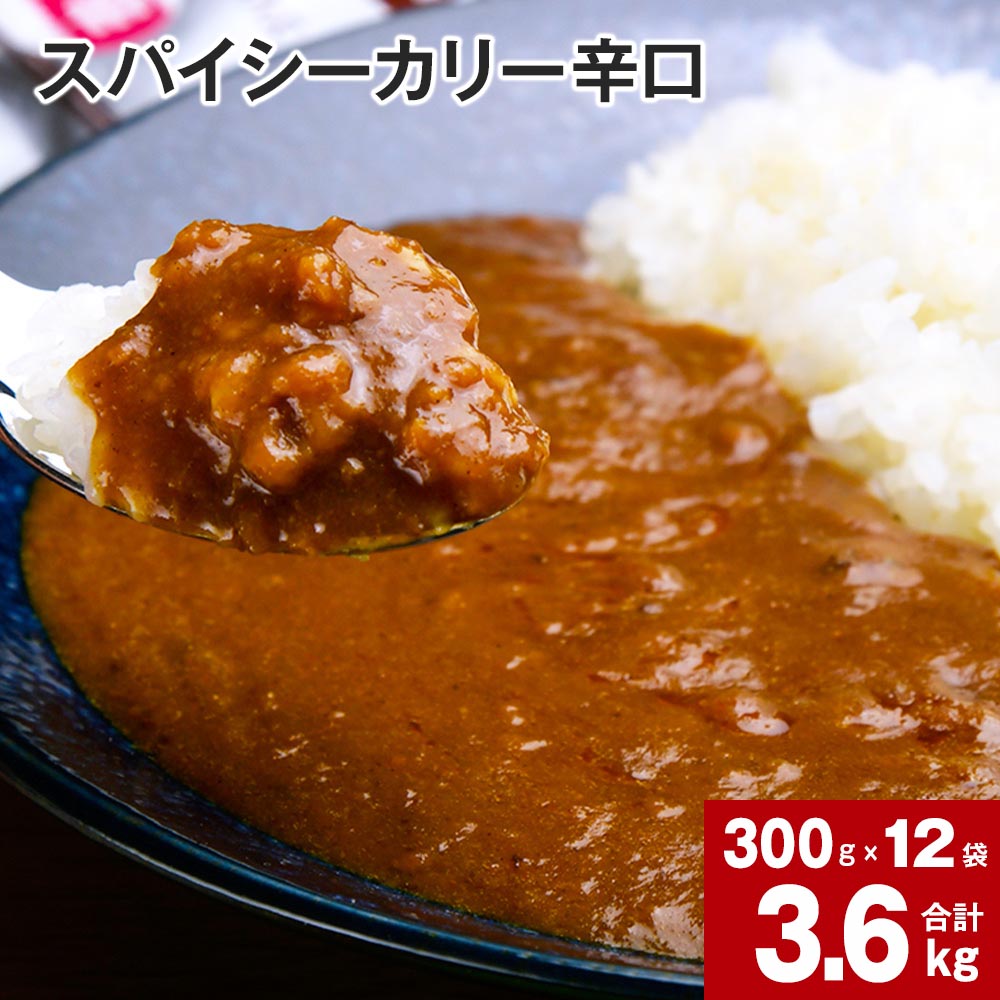 19位! 口コミ数「0件」評価「0」 スパイシーカリー 辛口 レトルト 300g×12袋 レトルトカレー カレーソース カレー 玉ねぎ 旨み コク カレーライス アレンジ 職人･･･ 