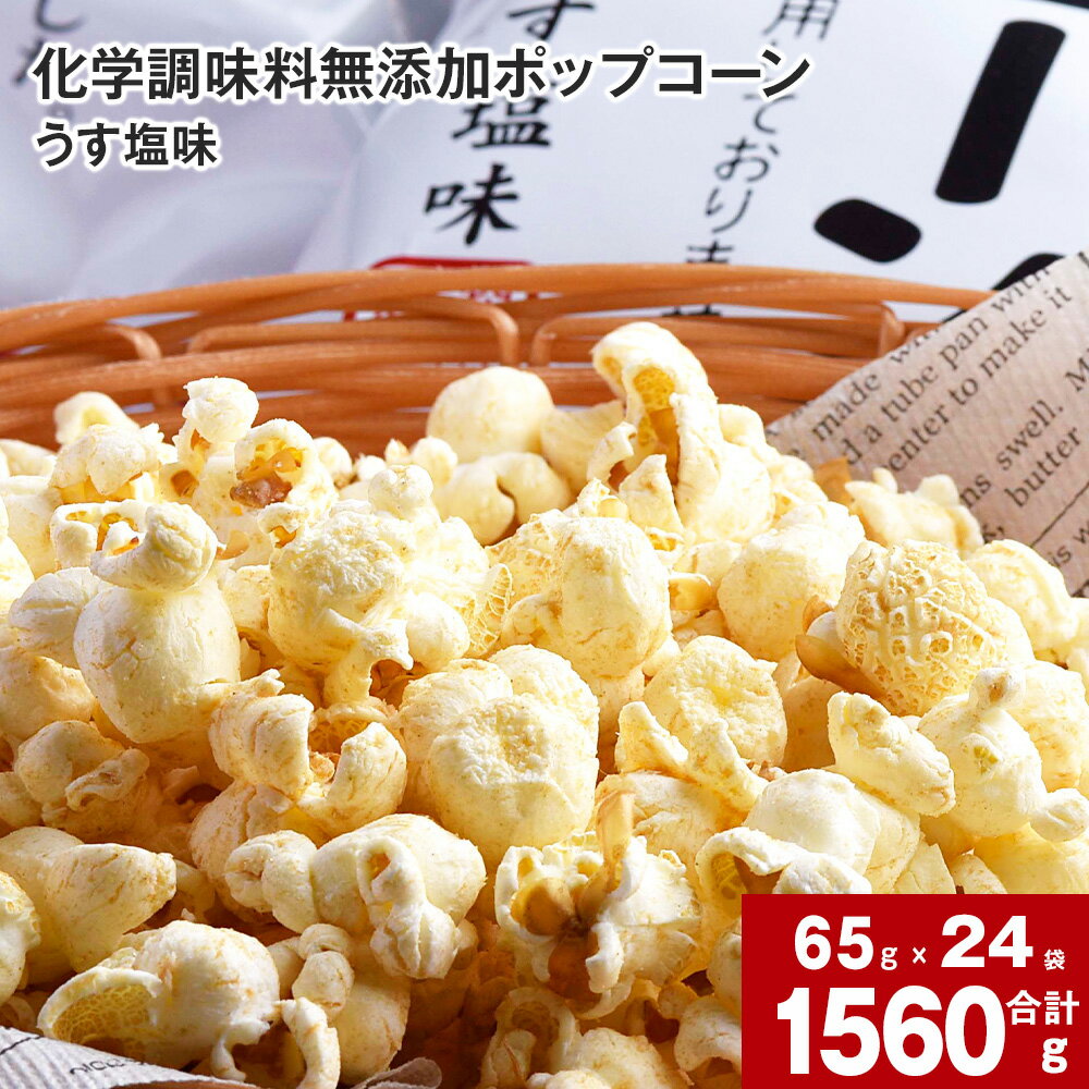 22位! 口コミ数「0件」評価「0」 化学調味料無添加 ポップコーン うす塩 65g×24袋 国産 こめ油 100％ ポップコーン とうもろこし トウモロコシ 無添加 化学調味･･･ 