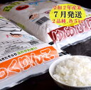 【ふるさと納税】JR015025 ゆめぴりか・ふっくりんこ食...