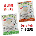 【ふるさと納税】JR014051 ふっくりんこ・ななつぼし食...