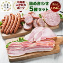 【ふるさと納税】ふかがわポーク 豪華詰め合わせ 5種 合計1.24kg 1240g ウインナー ソーセージステーキ チーズソーセージステーキ 厚切ロースハム 厚...