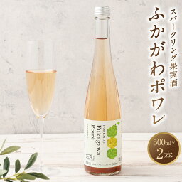 【ふるさと納税】果実炭酸酒 ふかがわポワレ 2本 セット 500ml×2本 洋梨 梨 スパークリング 果実酒 お酒 酒 飲み物 お取り寄せ ご当地 送料無料 北海道 深川市