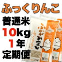 【ふるさと納税】北海道米 ふっくりんこ10kg×1年定期便（翌月から発送)【北海道深川産 12ヶ月定期 1年 お米 白米 精米 特A】