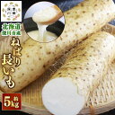 【ふるさと納税】<令和7年産 先行受付> 北海道 深川市産 ねばり長いも 約5kg 野菜 やさい いも 深川市 特産品 【2025年11月上旬〜11月下旬 発送...