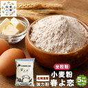 【ふるさと納税】北海道産 春よ恋 強力粉 【全粒粉】 合計 5kg 1kg×5袋 国産 小麦粉 強力小麦粉 パン パン作り 製パン材料 製パン ホームベーカリー...