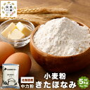 【ふるさと納税】北海道産 きたほなみ 中力粉 合計 5kg 1kg×5袋 国産 小麦粉 中力小麦粉 お菓子作り うどん作り パン作り 製菓 製麺 製パン 白 き...