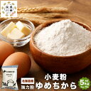 【ふるさと納税】北海道産 ゆめちから 強力粉 合計 5kg 1kg×5袋 強力小麦粉 パン パン作り 冷凍パン生地 製パン材料 製パン 中華麺 生パスタ 麺作り...