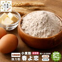 【ふるさと納税】選べる定期便 北海道産 春よ恋 全粒粉【強力粉】 3ヶ月 もしくは 6ヶ月 1回あたり 5kg (1kg×5袋) 国産 小麦粉 強力小麦粉 パン パン作り 製パン材料 製パン ホームベーカリー ふわふわ もっちり 北海道 深川市 送料無料
