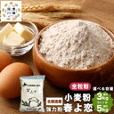 【ふるさと納税】〈選べる容量〉北海道産 春よ恋 強力粉 【全粒粉】 3kg または 5kg 1kg×3袋 1kg×5袋 国産 小麦粉 強力小麦粉 パン パン作り...