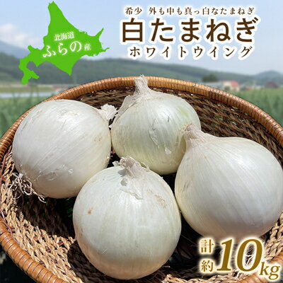 【ふるさと納税】【先行予約】10月より順次発送【北海道ふらの産】 白玉ねぎ約10kg【1258411】