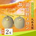 18位! 口コミ数「1件」評価「5」【先行予約】富良野メロン　赤肉2玉　北海道富良野市『大島農園』【1261685】