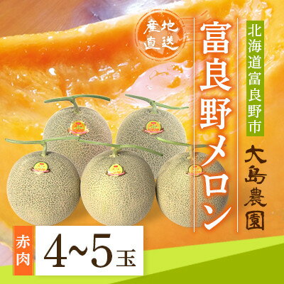 【ふるさと納税】富良野メロン 赤肉4~5玉 北海道富良野市『大島農園』_ メロン 富良野メロン 赤肉 赤肉メロン 北海道 富良野 果物 くだもの ギフト プレゼント 贈り物 ふるさと 【1261686】