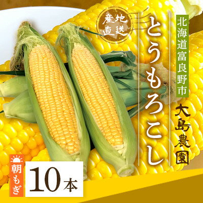 【ふるさと納税】【先行予約】朝もぎとうもろこし　10本　北海道富良野市『大島農園』【配送不可地域：離島】【1261687】