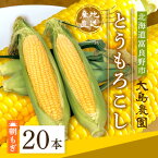 【ふるさと納税】【先行予約】朝もぎとうもろこし　20本　北海道富良野市『大島農園』【配送不可地域：離島】【1261688】