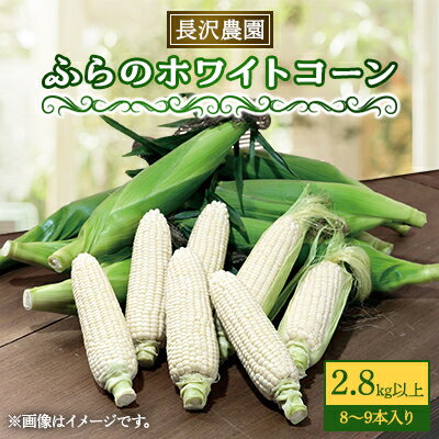 [先行予約]ふらのホワイトコーン、2.8kg以上(8〜9本入り)[配送不可地域:離島]