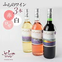 【ふるさと納税】ふらのワイン (赤・白・ロゼ)720ml×3本セット【1275262】