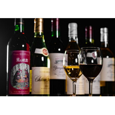【ふるさと納税】ふらのワイン スペシャル6本セット_ ワイン 酒 アルコール 富良野ワイン ふらのワイン 赤ワイン 白ワイン セット 飲み比べ 人気 おすすめ 送料無料 贈答 ギフト 【1289311】 f012297-furano-10000487 北海道富良野市 サンプル画像2