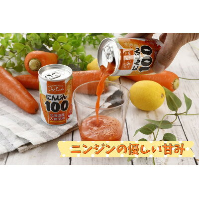 【ふるさと納税】【北海道産にんじん使用】ふらの にんじん100 160g×30本入_ ニンジンジュース 人参 にんじん ジュース 飲料 ドリンク ストレート にんじん100 野菜ジュース 北海道 国産 贈答 ギフト 野菜 人気 おすすめ 美味しい 安心 北海道産人参 缶ジュース 【1295396】