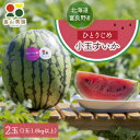 【ふるさと納税】【2026夏発送】ひとりじめ小玉すいか 2玉【配送不可地域:離島・沖縄県】【1318922】