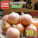 【ふるさと納税】北海道富良野産 玉ねぎ10kg S〜Lサイズ混合【1331094】