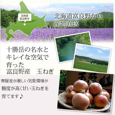 【ふるさと納税】北海道富良野産　玉ねぎ10kg　S～Lサイズ混合【1331094】