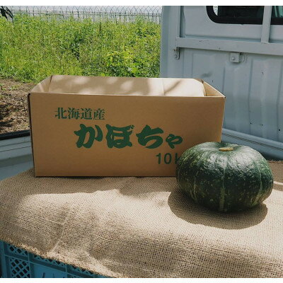 【先行受付　令和5年9月中旬より発送予定】北海道産えびすかぼちゃ 無選別 約10kg(4〜10玉入)【1333401】