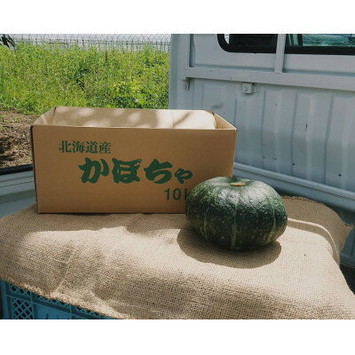 [令和6年9月中旬より発送予定]北海道産かぼちゃ 特濃こふき 無選別 約10kg(4〜10玉入)