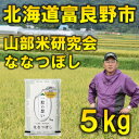 【ふるさと納税】【特A受賞米】◆令和7年産先行予約◆北海道富良野市産ななつぼし 精米5kg【1339608】