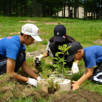 【ふるさと納税】【あなたの木を富良野に植えます】富良野の自然を守る植樹代行券(苗木1本)【1371503】その2