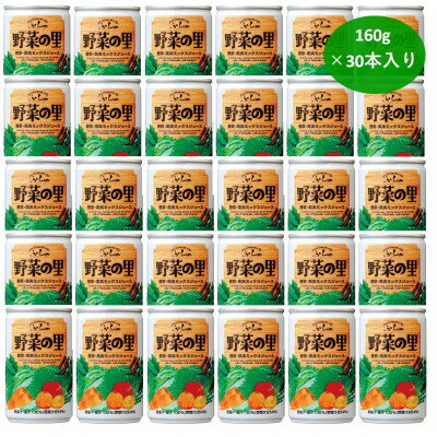 21位! 口コミ数「0件」評価「0」【国産野菜使用】ふらの　野菜の里　160g×30本入り【1397498】