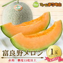 【ふるさと納税】【美味‼秋のメロン】富良野メロン(レッド113)赤肉(2.0〜2.5kg)1玉入 糖度15度以上_ メロン めろん 富良野メロン 赤...