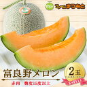【ふるさと納税】【美味‼秋のメロン】富良野メロン(レッド113)赤肉(2.0〜2.5kg)×2玉入 糖度15度以上【1398946】