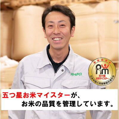 【ふるさと納税】◆令和8年産新米先行予約◆特A受賞!北海道富良野市産ななつぼし　精米　5kg×2袋【1399313】 f012297-furano-10001264 北海道富良野市 サンプル画像3