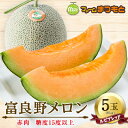 【ふるさと納税】富良野産 富良野メロン(ルピアレッド) 赤肉5玉入(内容量8kg) 糖度15度以上【1400098】